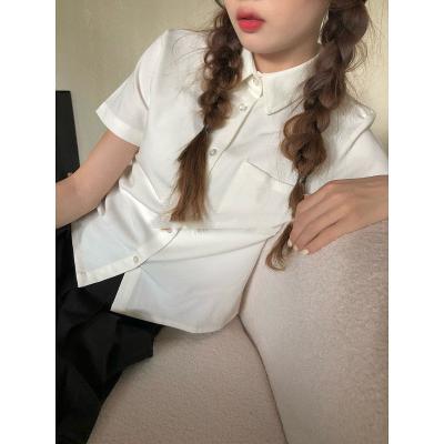 코모도러브셔츠 코보터 여성 소프트터치 레귤러핏 셔츠 반팔/긴팔