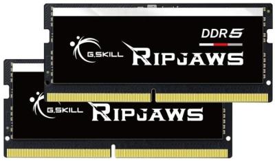 바이오틴탈모샴푸 G.Skill RipJaws DDR5 SODIMM 시리즈 64GB 2 x 32GB 262핀 4800 CL403976 1.10V 듀얼 채널 데스크탑 메모리 F54800S4039A32