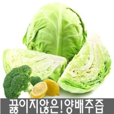 JCOOP양배추즙 진성식품 물없이100% 순수 양배추즙100ml 50팩/100팩 행사/  저온착즙